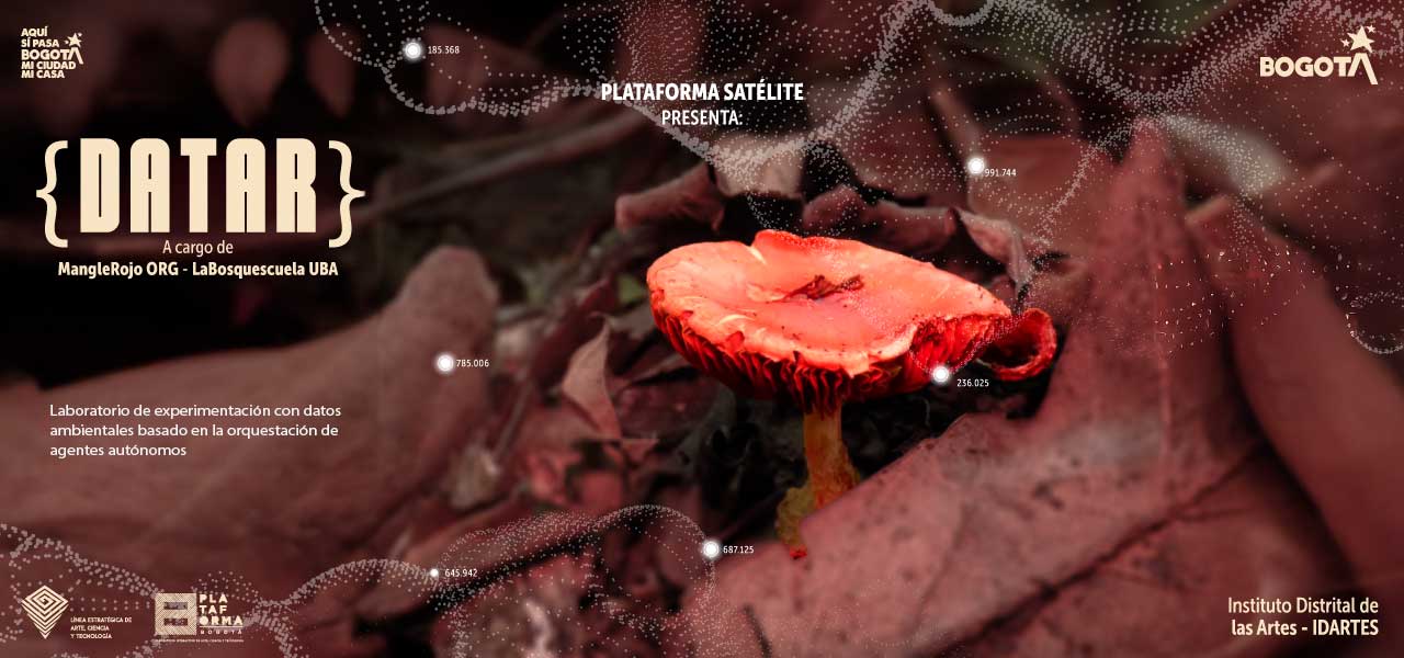 Laboratorio DATAR en campo