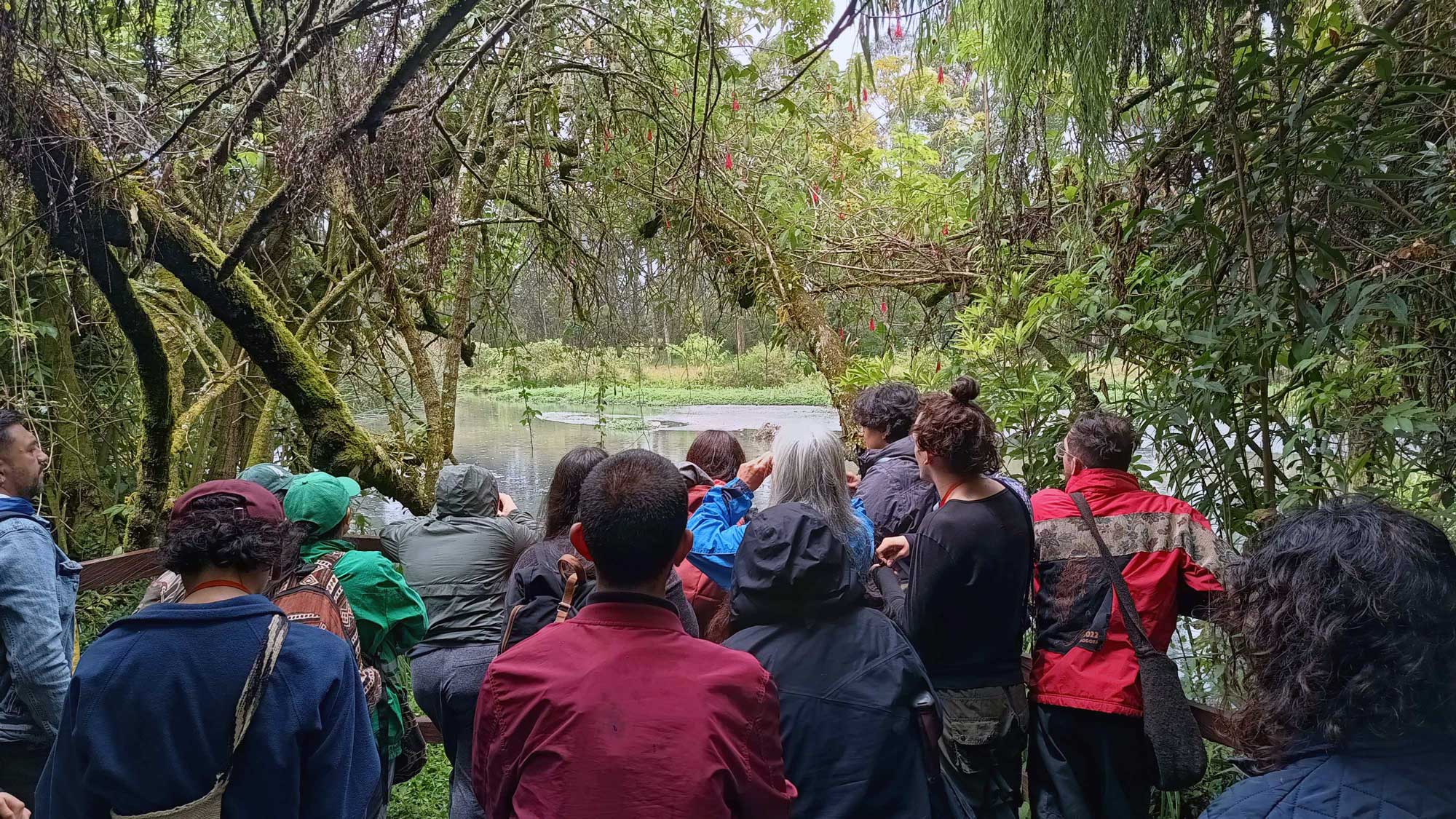 Campo 5 - Estructura Ecológica Principal