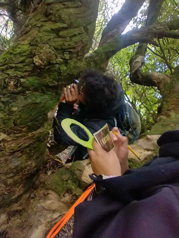 Campo 24 - Estructura Ecológica Principal