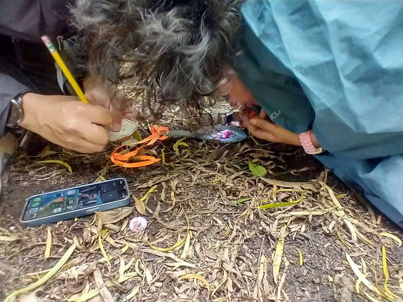 Campo 25 - Estructura Ecológica Principal