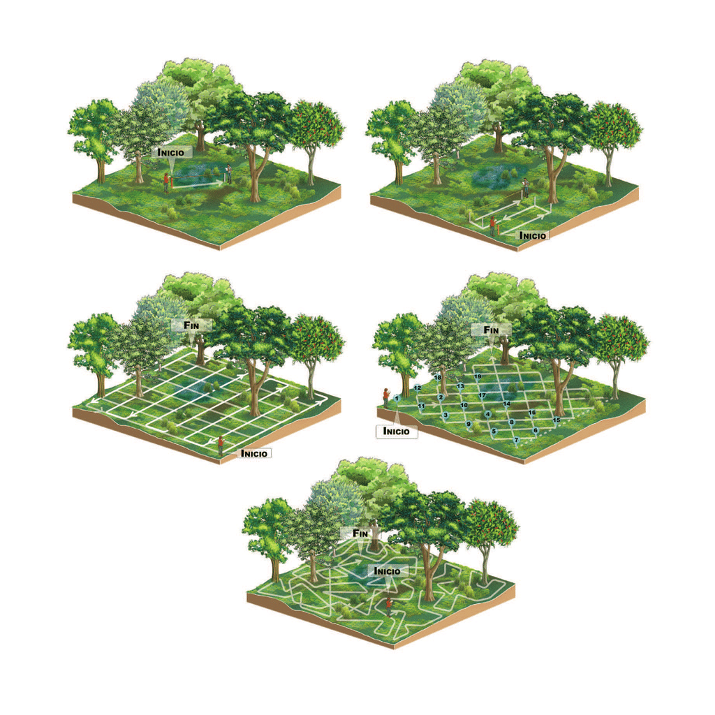 Proceso Experimental 3